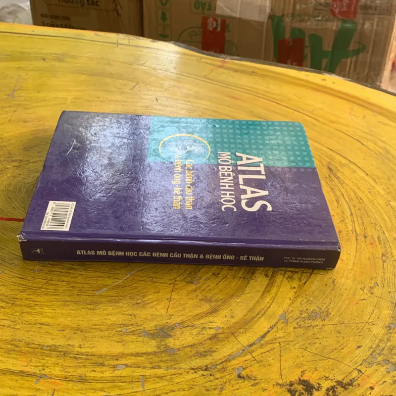 ATLAS MÔ BỆNH HỌC CÁC BỆNH CẦU THẬN & BỆNH ỐNG - KẼ THẬN 1009009