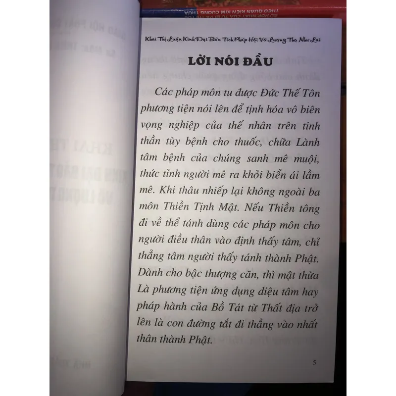 Khai Thị Luận Kinh đại bảo tích pháp hội vô lượng thọ như lai  734446