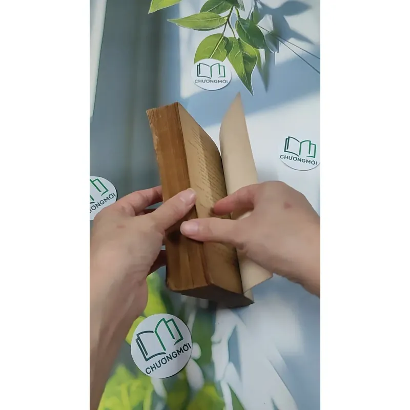 [MIỄN PHÍ BỌC SÁCH] [XƯA] Khoa Học Lao Động (1978) - Nguyễn Văn Lê 776018