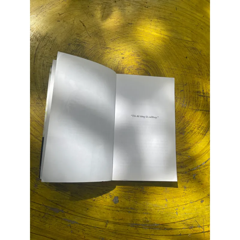 ĐỜI CALLBOY- NGUYỄN NGỌC THẠCH 722838