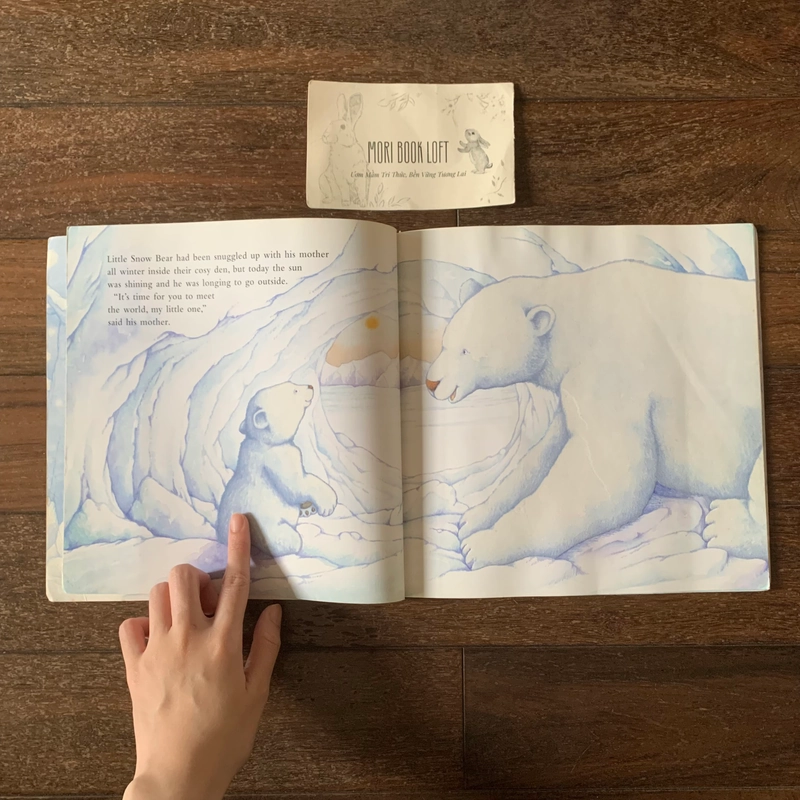 Sách ngoại văn Snow Bear – Sách sờ chạm vải nhung, Used 540728
