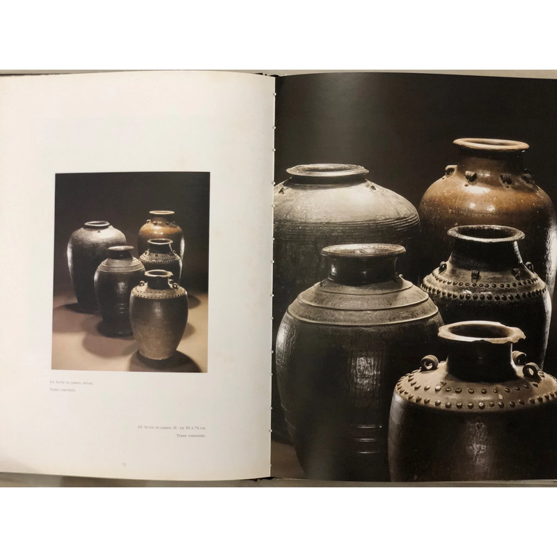 JARAI - Bertrand Goy - 2006 - Sách bìa cứng khổ lớn, khảo cứu và hình ảnh  462029