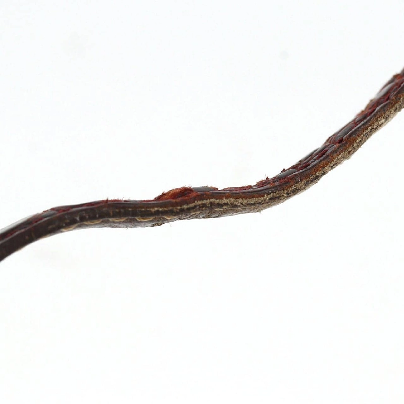 Cartier Must de Cartier SM GP W1000653 GP Quartz - Hàng hiệu Authentic 873568