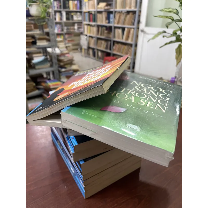 HÀNH TRÌNH KHÁM PHÁ VĂN HOÁ TÂM LINH (10 CUỐN) - NGUYÊN PHONG phóng tác 961165