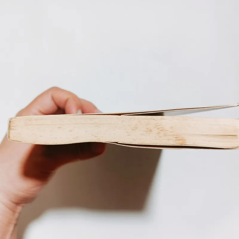 Chuyến Tàu Nhật Thực - Đinh Phương 927357