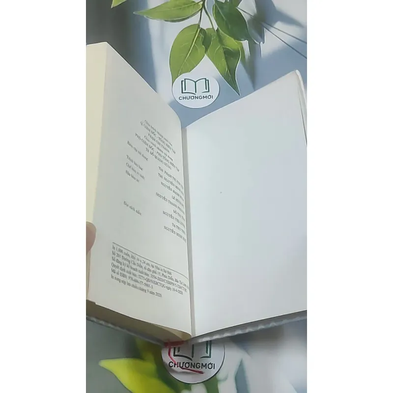 Hệ tiêu chí nước công nghiệp theo hướng hiện đại - GS TS Trần Thị Vân Hoa 688618