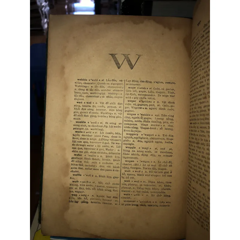 Anh - Việt - Pháp từ điển - Ngô Vũ & Thanh Nghị 970037