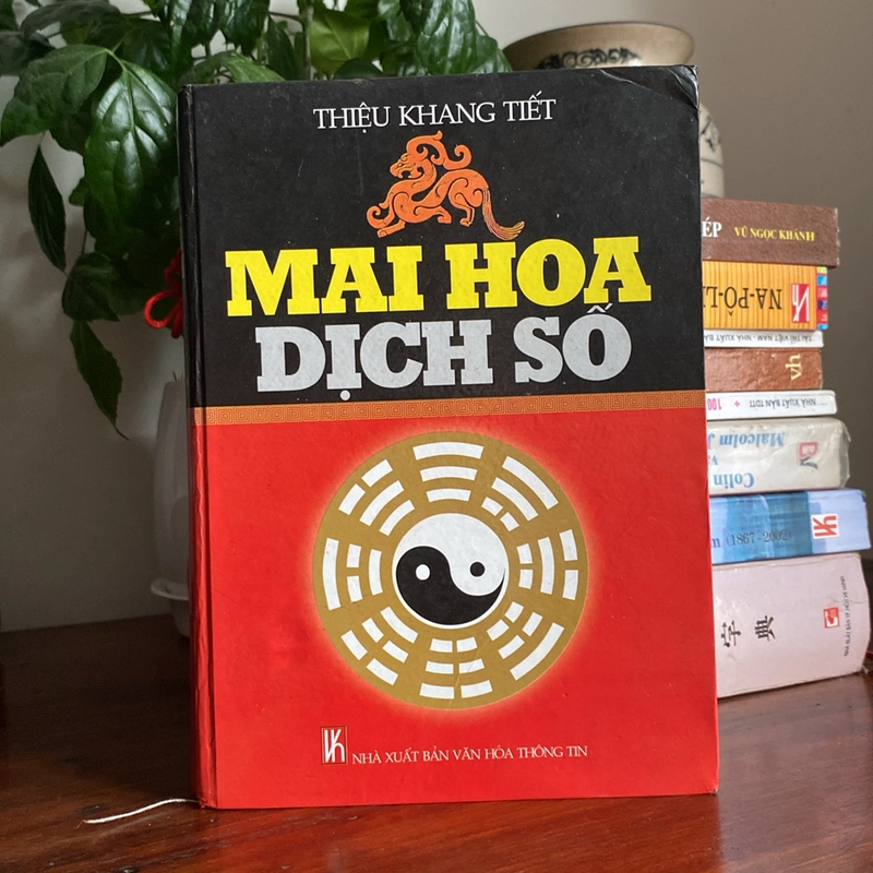MAI HOA DỊCH SỐ, BẢN BÌA CỨNG, XUẤT BẢN 2002 471851