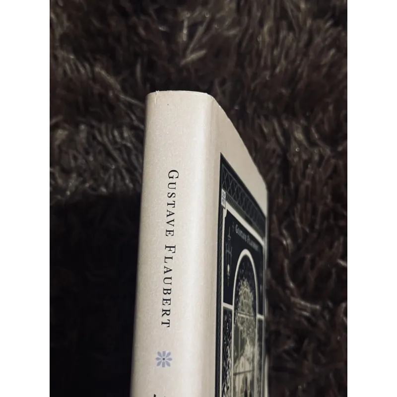 Bà Bovary (bìa cứng) 717559