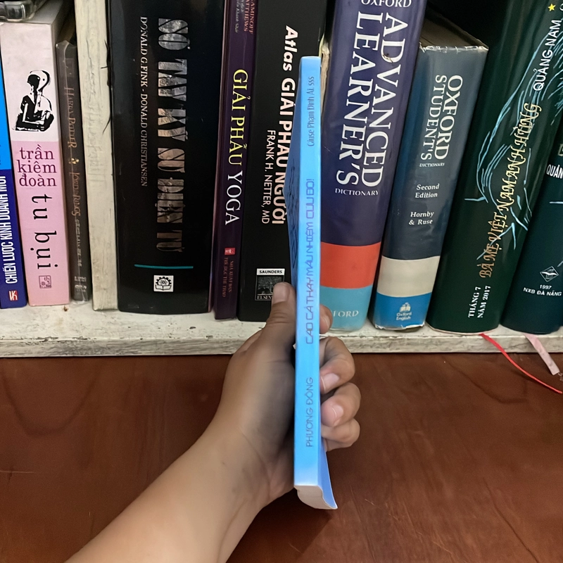 Cao Cả Thay Mầu Nhiệm Cứu Độ _ Ý Nghĩa Các Nghi Lễ Và Kinh Nguyện Trong Thánh Lễ - 2014 544978