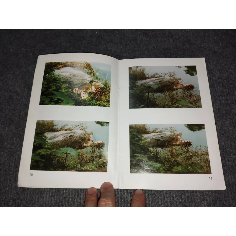 KỂ CHUYỆN VỀ RÙA Ở HỒ GƯƠM 993105