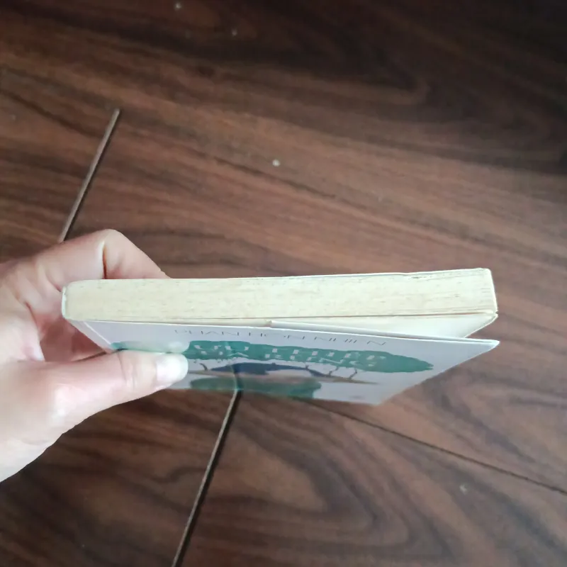 Bưu thiếp của rừng 761782