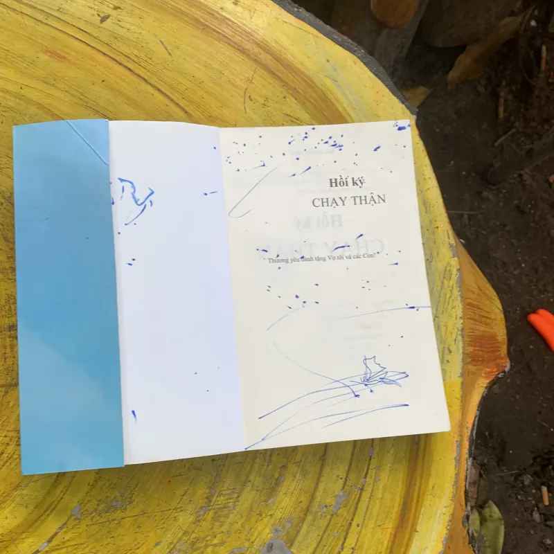 HỒI KÝ CHẠY THẬN - HỒ HỒNG VIỆT 753389