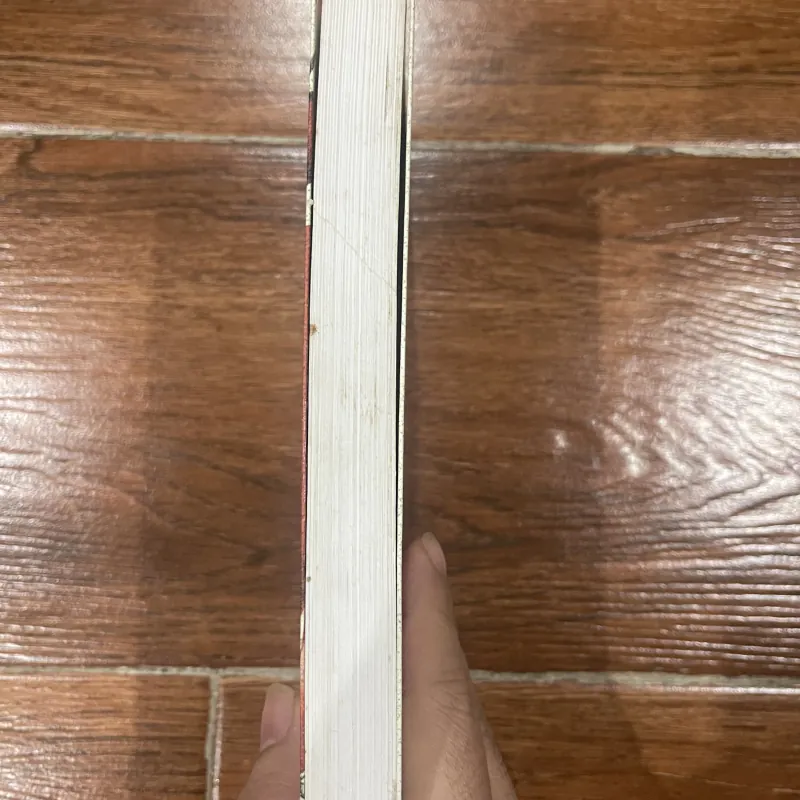 Đầu óc người Ý - Beppe Servergnini (7) 759921