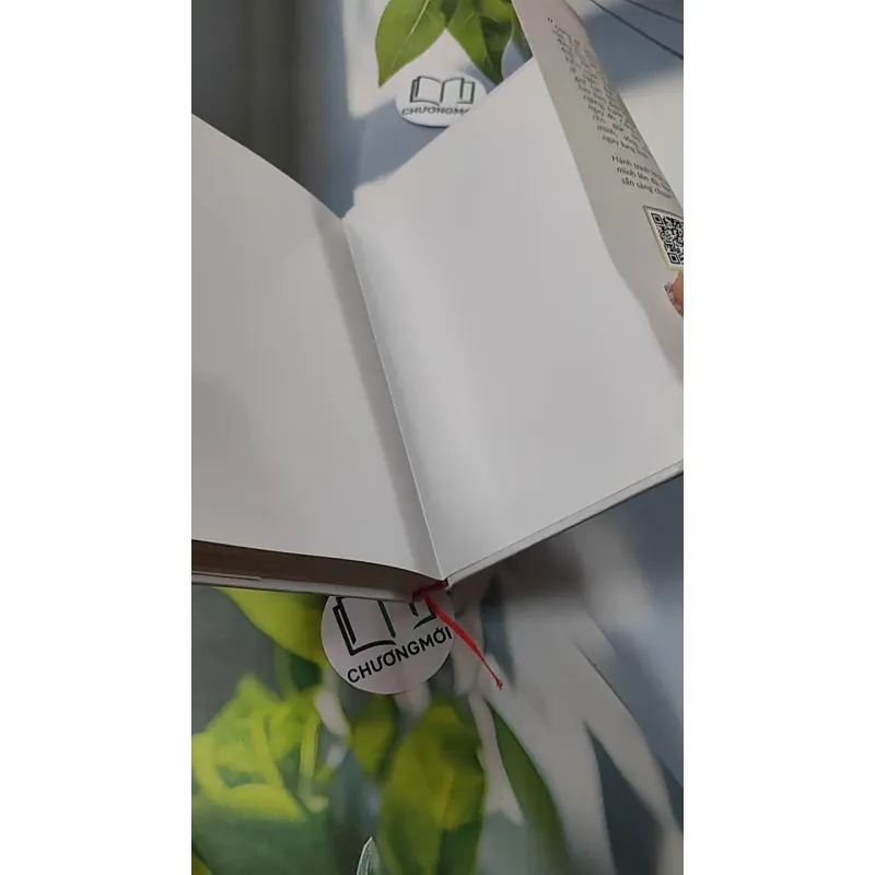 [MIỄN PHÍ BỌC SÁCH] Hành Trình Khắc Tên Mình Lên Đá - Diệu Thu 749593