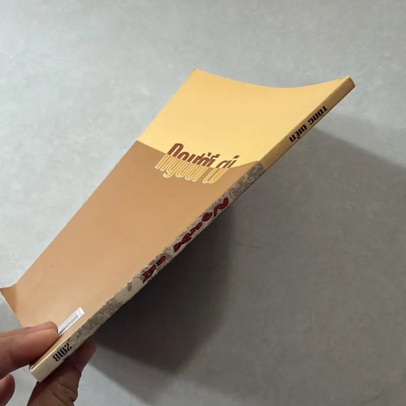 Người cũ - Tùng Điển 746866