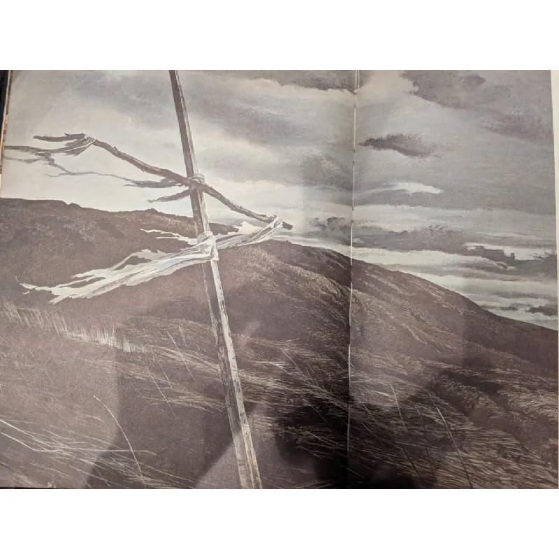 The Beauty of America 712437