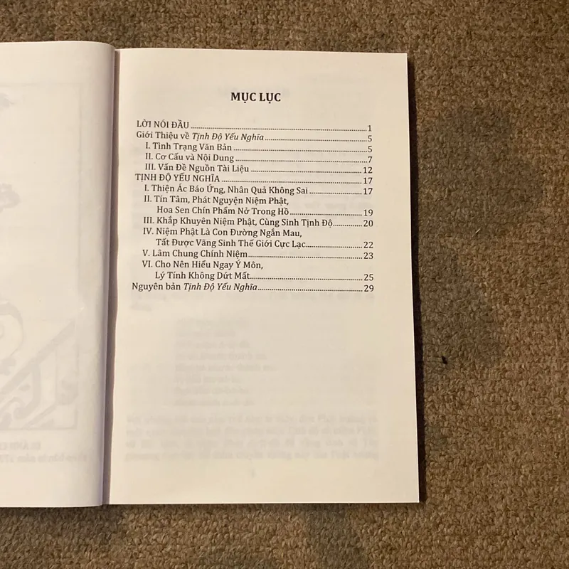 Tịnh Độ Yếu Nghĩa- Soạn: Chân Nguyễn Tuệ Đăng- Dich Chủ: Lê Mạnh Thát 689162