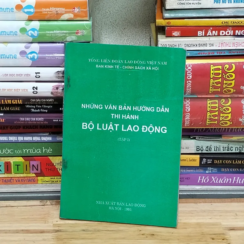 Những văn bản hướng dẫn thi hành bộ luật lao động (tập 1) 575941