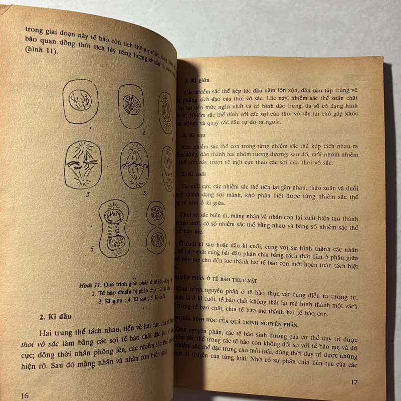 Sinh học 10 - 1991s 797106