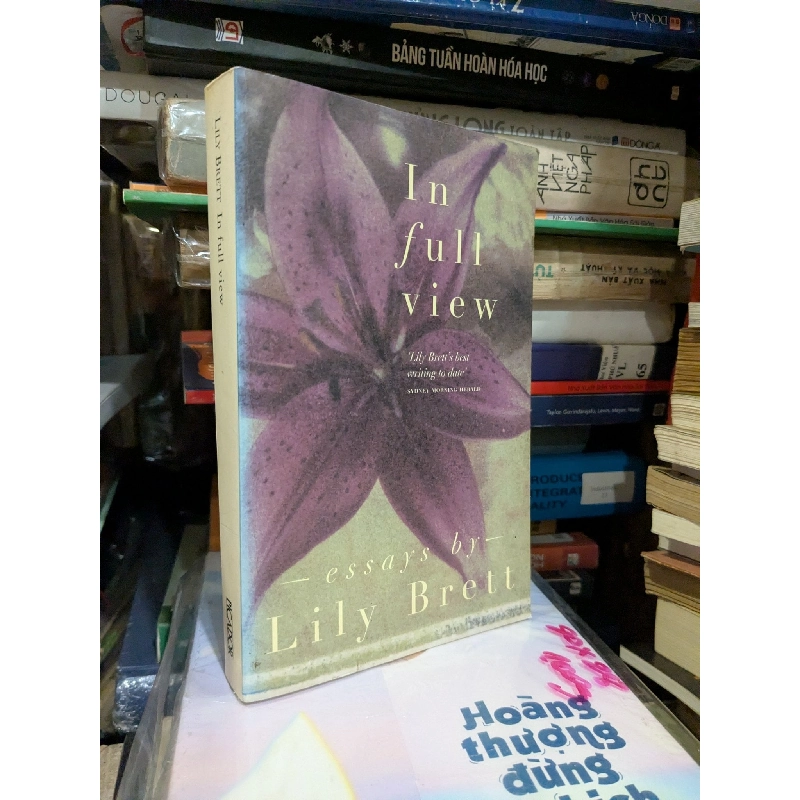 In full view - Lily Brett 789318