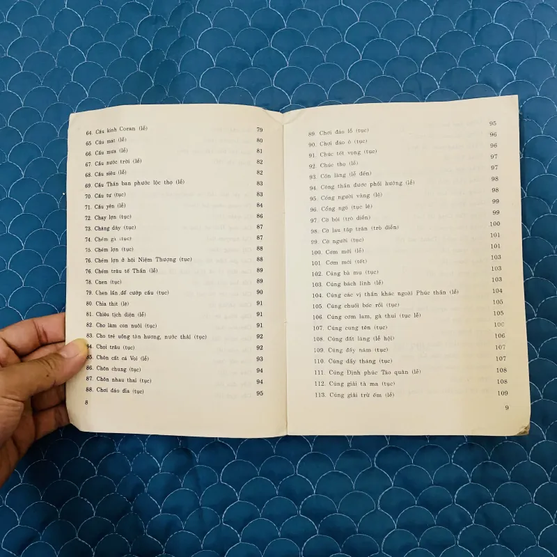 Từ điển lễ tục Việt Nam ( sách hiếm) 1023243