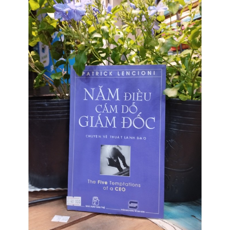 Năm Điều Cám Dỗ Giám Đốc - Chuyện Về Thuật Lãnh Đạo - Patrick Lencioni 121075