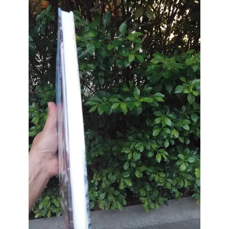 754 năm kiến trúc thành phố Nam Định KTS Phan Đăng Trình  1001367