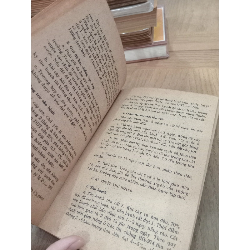 CÂY BẠC HÀ - ĐỖ TẤT LỢI 165502