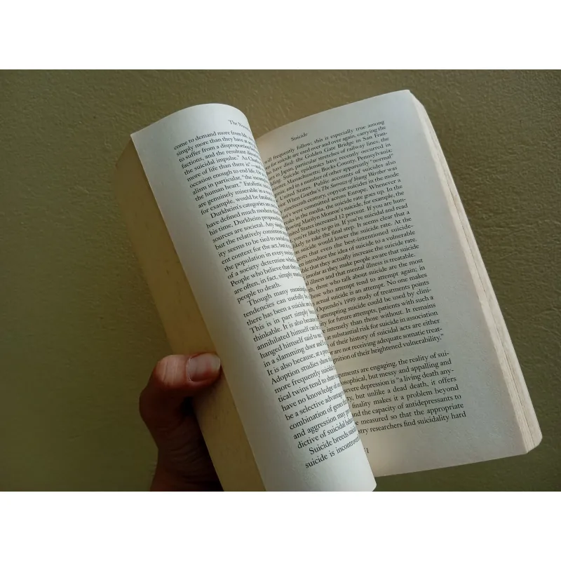 The noonday demon, english book, sách tiếng Anh  960928