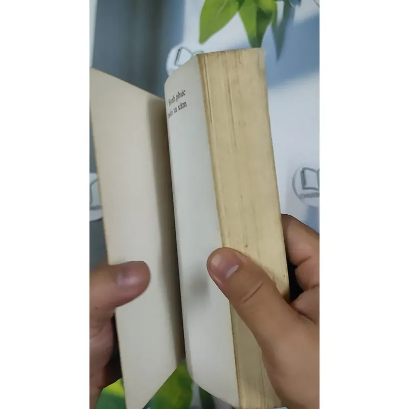 Hạnh Phúc Miền Xa Xăm - Lê Đức Hân 798477