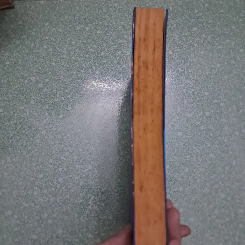 Harry Potter và hòn đá phù thủy 1021872