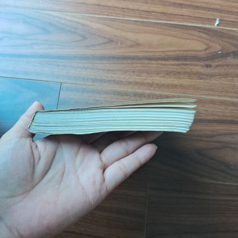 Bức họa Maja khỏa thân 506406
