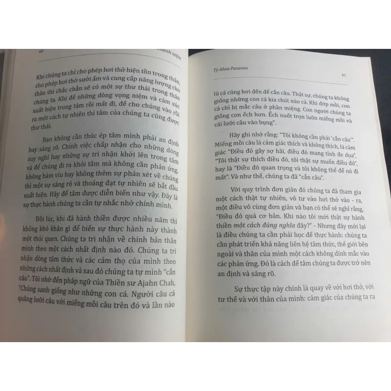 Tu Dưỡng Tâm Từ Bằng Thiền Chánh Niệm 696881