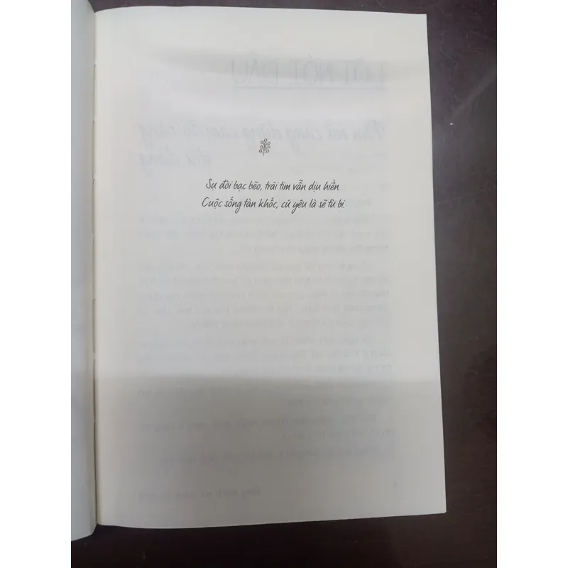 Càng mạnh mẽ càng dịu dàng - Lý Ái Linh - Sách cũ - Có bookmark 697668