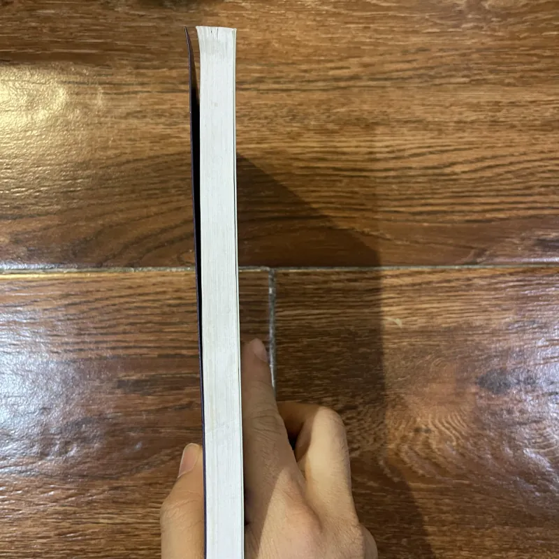 Cuộc Nổi Loạn Ngoạn Mục – Natsume Soseki (6) 971098