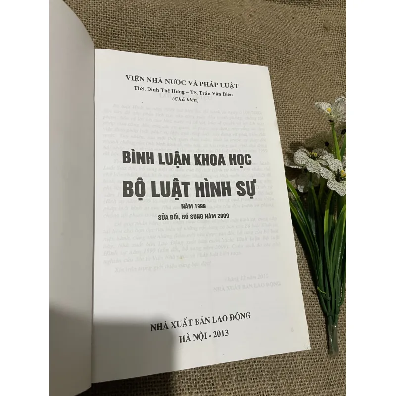 ThS. Đinh Thế Hưng - TS. Trần Văn Biên- BÌNH LUẬN KHOA HỌC BỘ LUẬT HÌNH SỰ NĂM 1999  797720