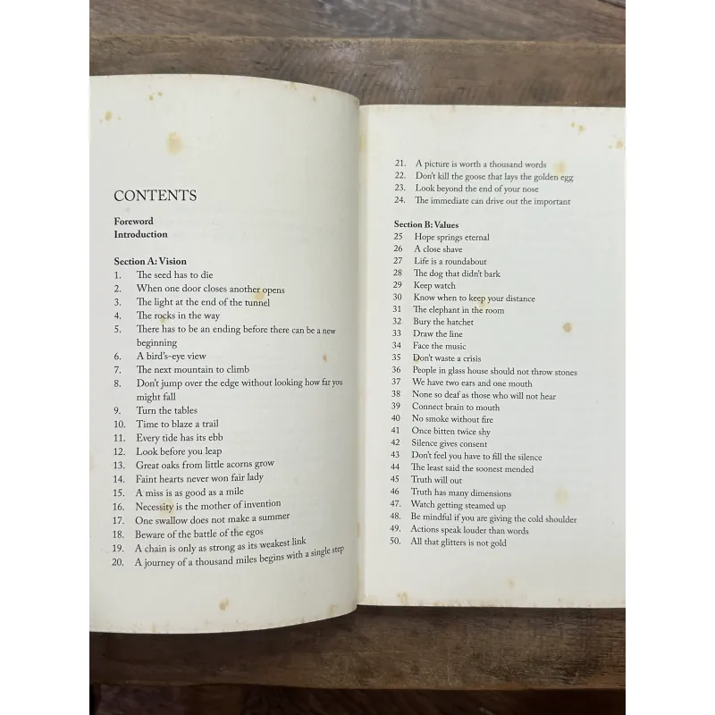 The Power Of Leadership Metaphors - Peter Shaw 731543