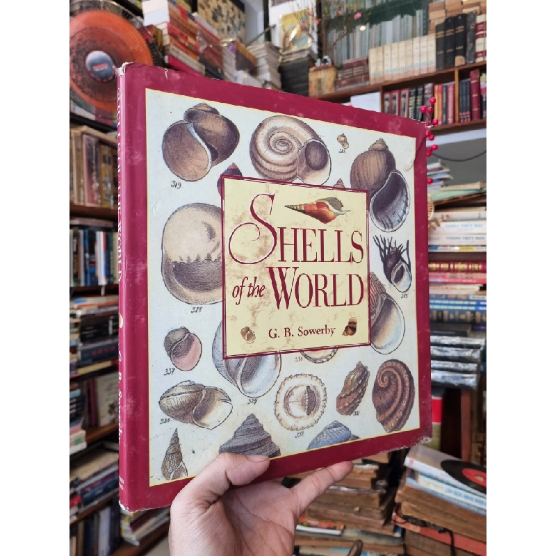 Shells of the World - G.B. Sowerby 450425
