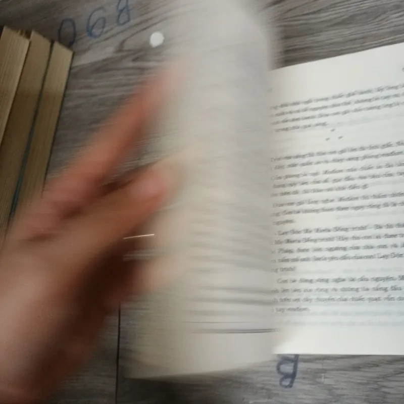 Bụi Quý - Kônxtantin Pautốpxki 1024038