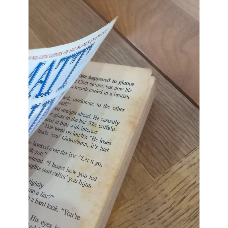 WIndward West - Matt Braun 704153