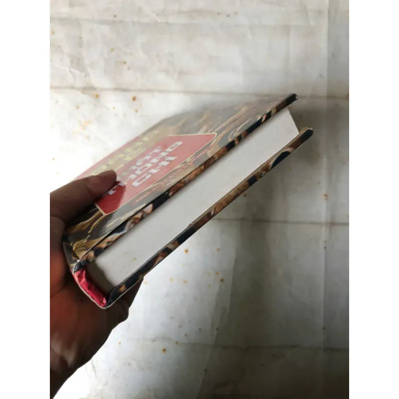 Hoàng Lê Nhất Thống Chí - Ngô Gia Văn Phái 993935