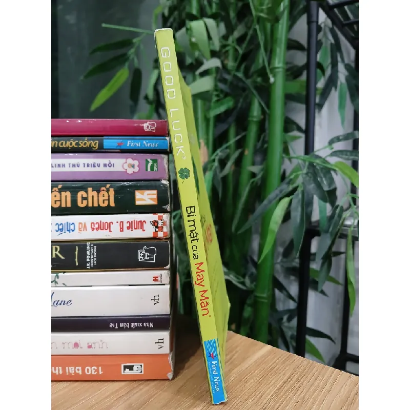 Good Luck – Bí mật của May Mắn – Alex Rovira & Fernando Trías de Bes 574037