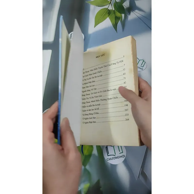 Nguồn Sáng Vô Tận - Thích Thái Hòa 990452