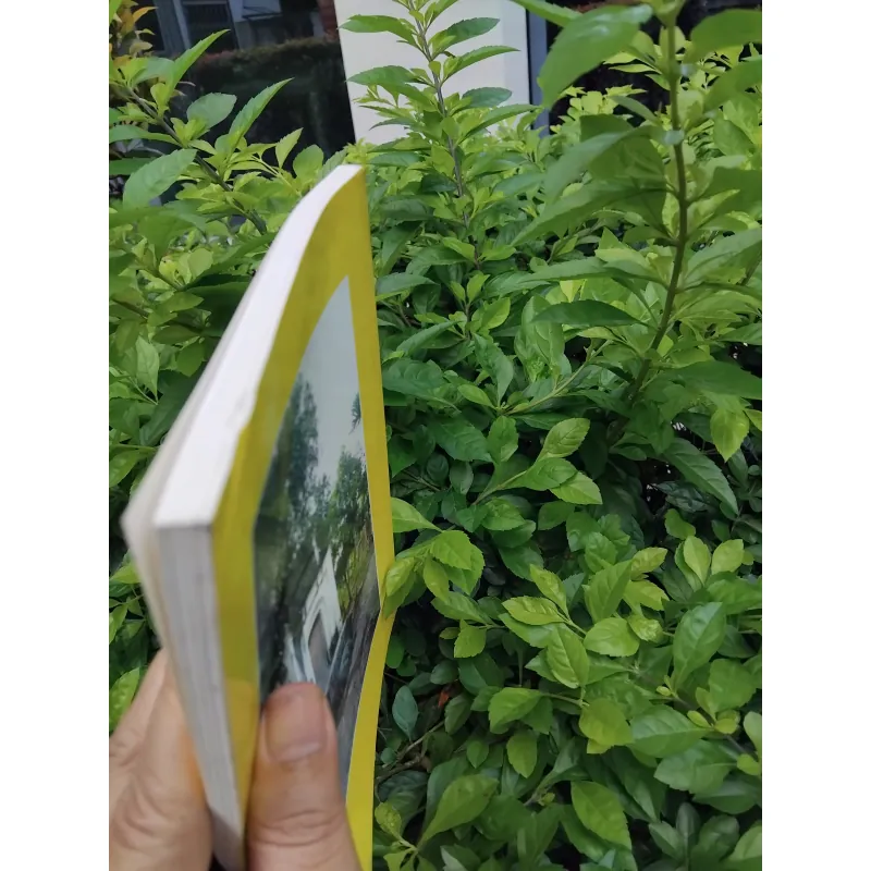 Đặng tộc đại tông phả ( phả chi trưởng họ Đặng )  981584