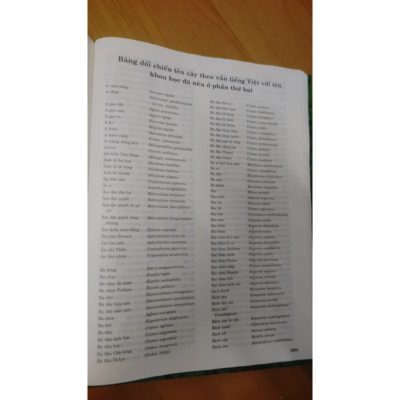 TỪ ĐIỂN THỰC VẬT THÔNG DỤNG TẬP 1 676003
