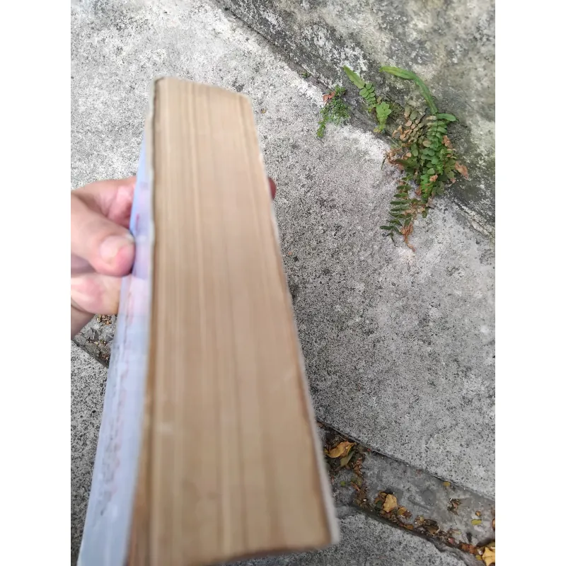 Cách mạng, kháng chiến và đời sống văn học 1945 - 1954 1019195