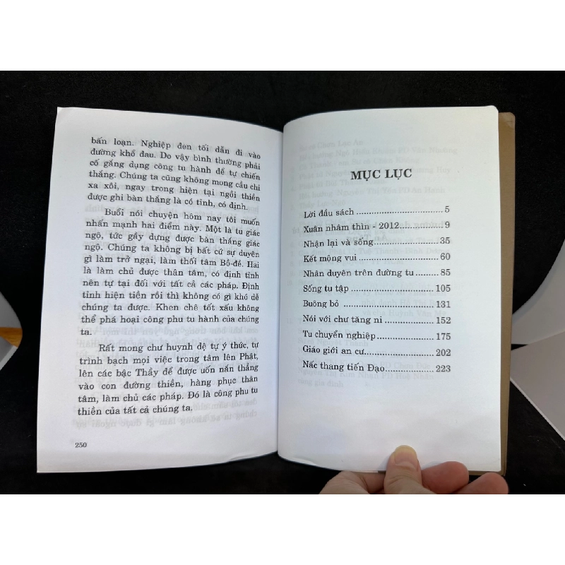 Nấc Thang Tiến Đạo, Thích Nhật Quang, Mới 80% (Ố Nhẹ), 2012 SBM2504 914209