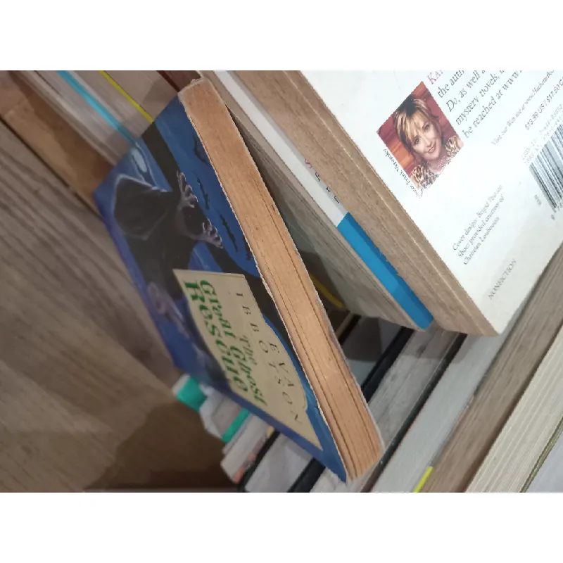 The great ghost rescue - Eva Ibbotson 704081