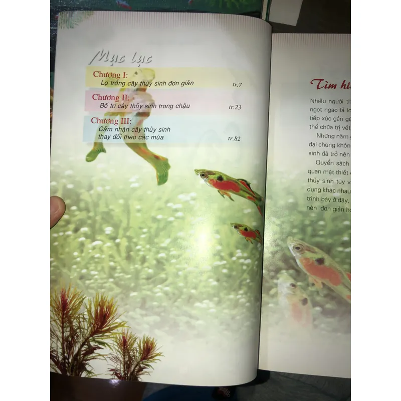 Cây cảnh trong nước - Trồng và chăm sóc 100 loại cây cảnh trong nước  732804